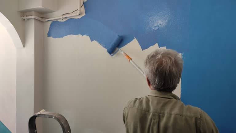 Best Wallpaper Removal and Painting  in Belleville, PA